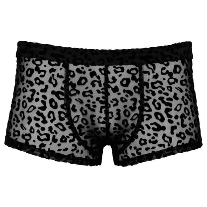 Noir Sheer Animal Print Pants - Peaches & Cream