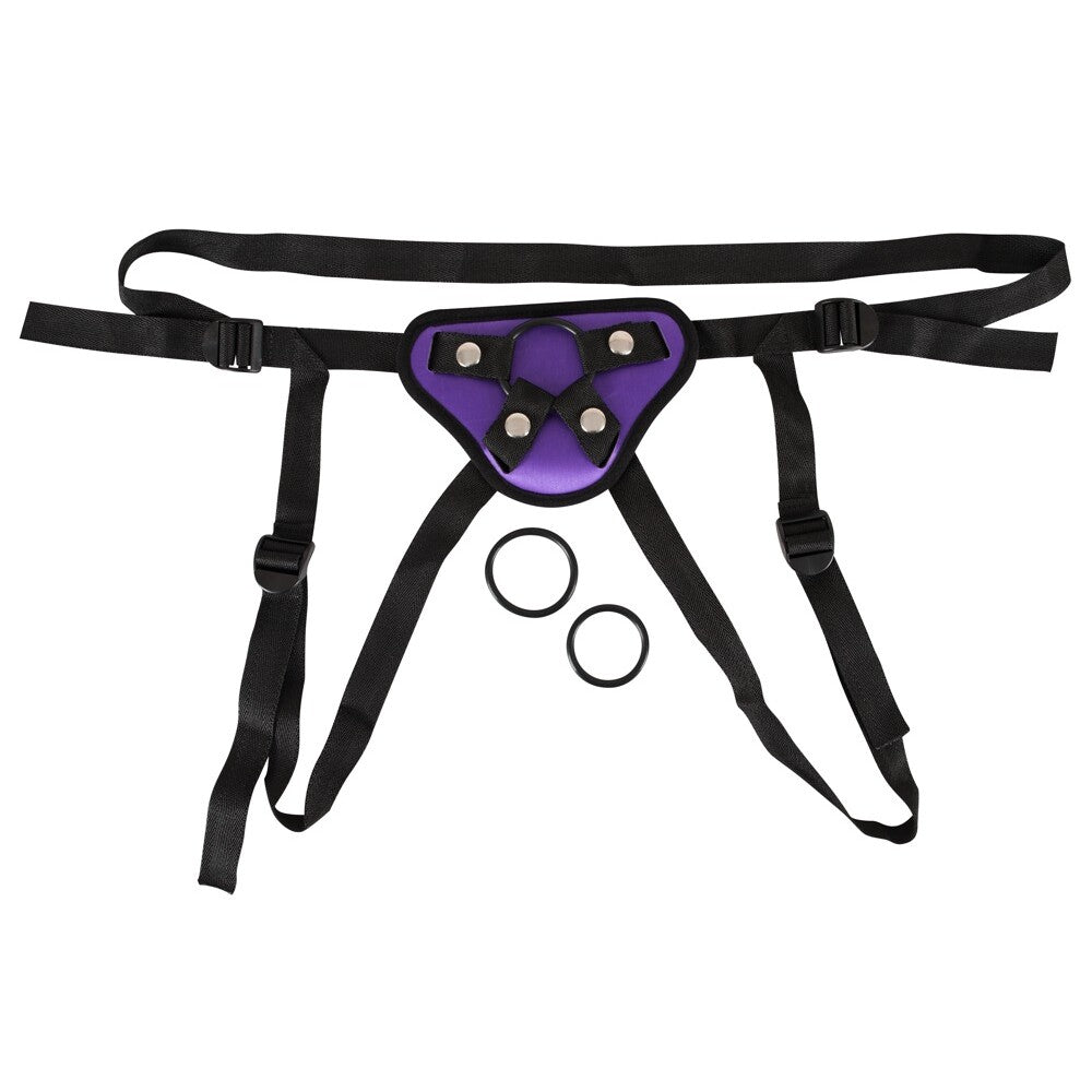 Purple And Black Universal Harness - Peaches & Cream