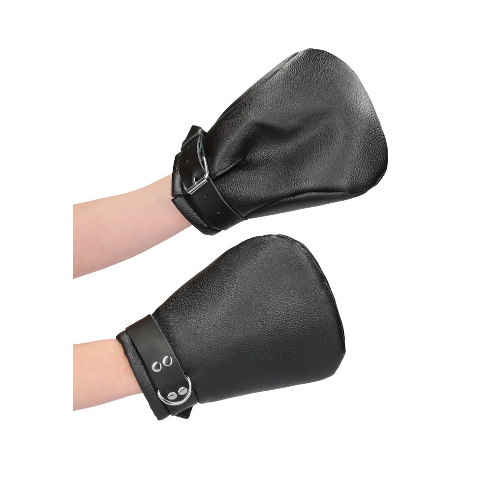 Neoprene Lined Mittens Puppy Play - Peaches & Cream