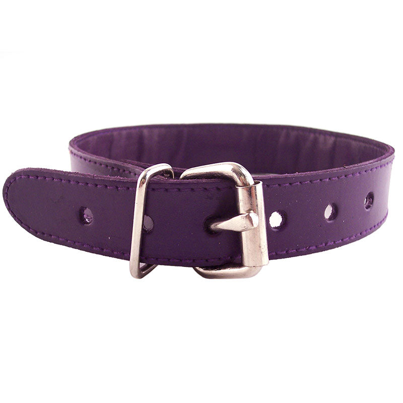 Rouge Garments Purple Studded ORing Studded Collar - Peaches & Cream